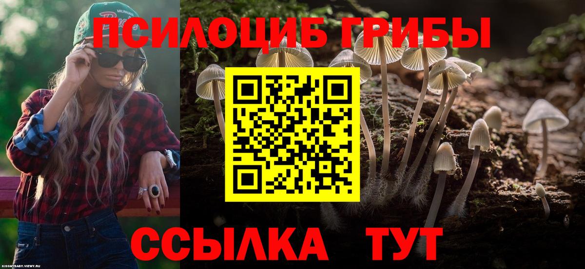 Галлюциногенные грибы прущие грибы  Вход с VPN  Галлюциногенные грибы Psilocybe  Сердобск 
