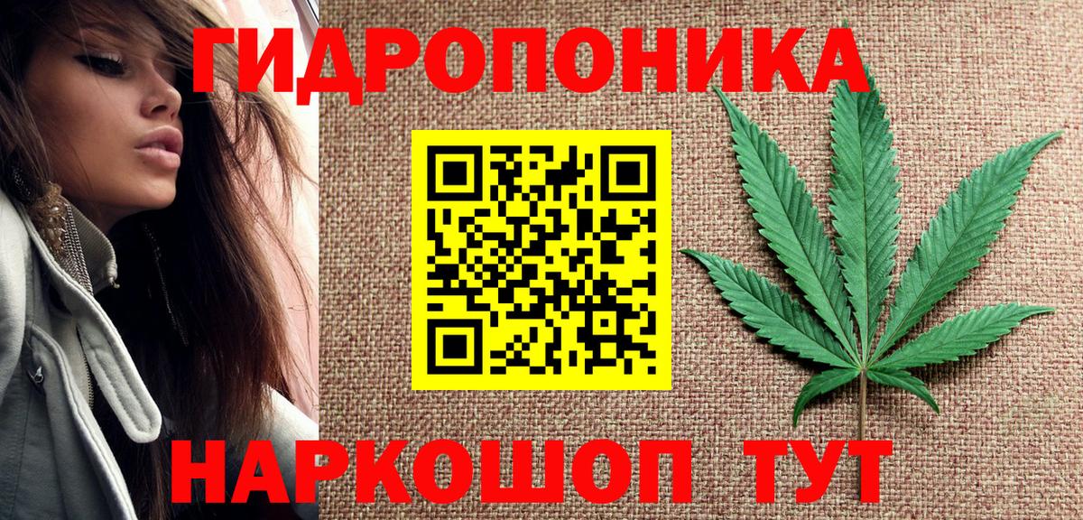 Сердобск  Бошки Шишки план  Вход с VPN  Бошки марихуана OG Kush 